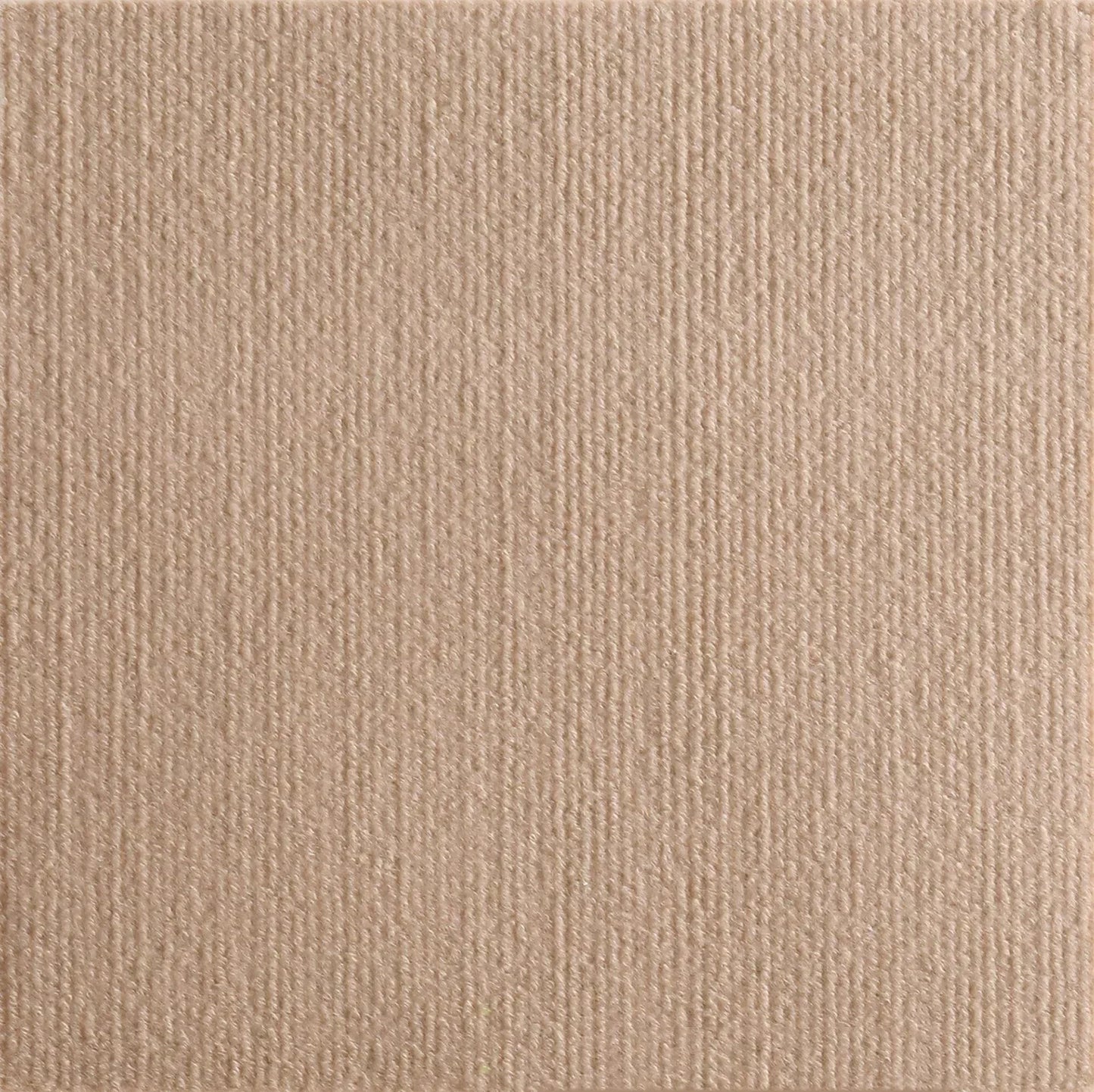 Cat Climb Scratch Mat