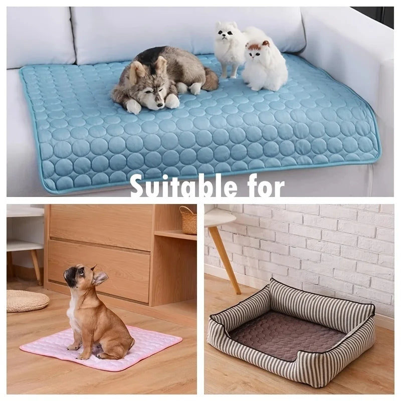 Summer Chill Pet Mat