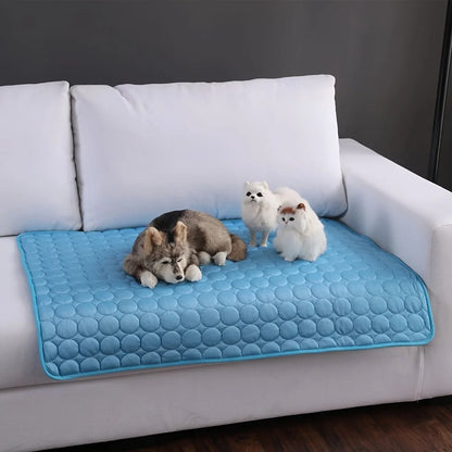 Summer Chill Pet Mat