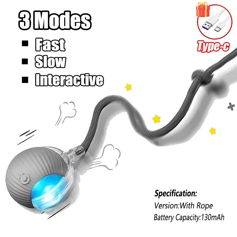 Smart Rolling Tail Toy