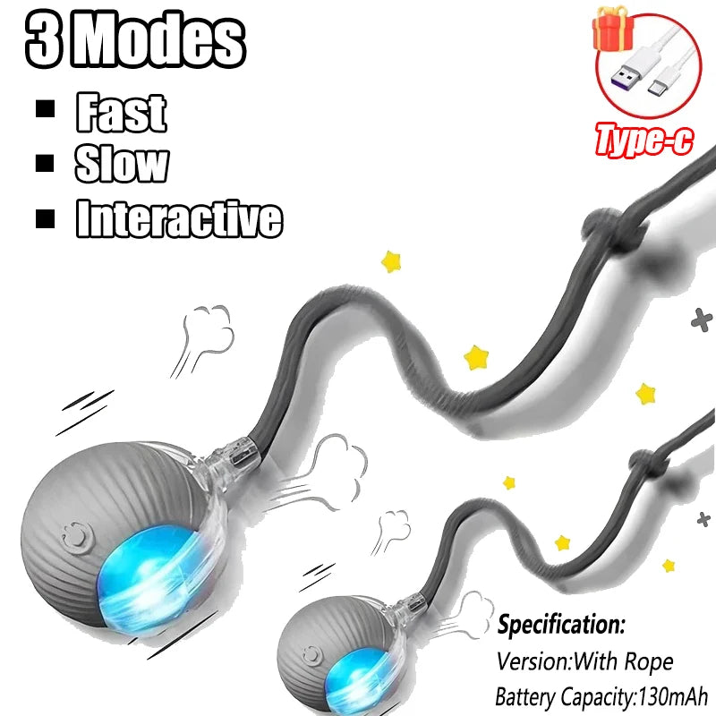 Smart Rolling Tail Toy