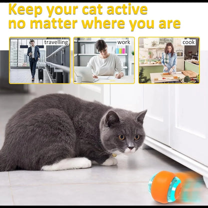 Smart Interactive Pet Ball