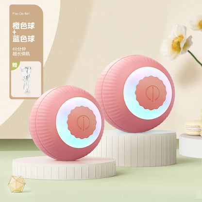 Smart Rolling Tail Toy