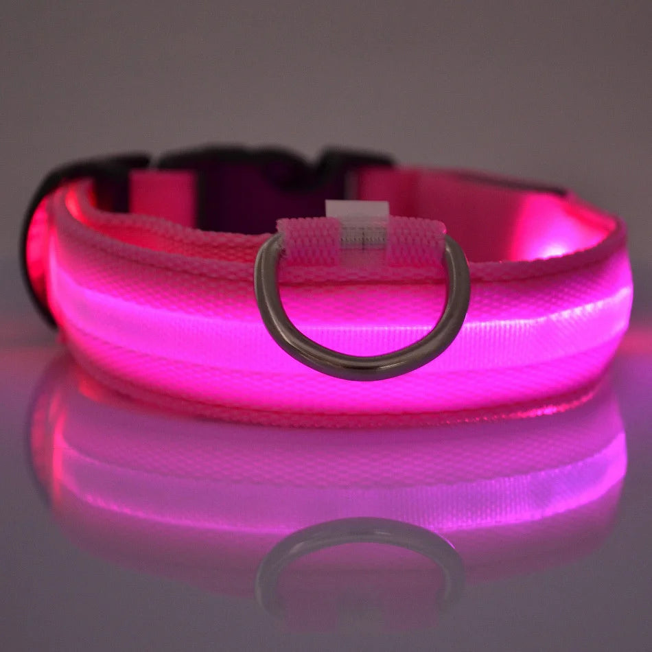 LED Glow Dog Collar