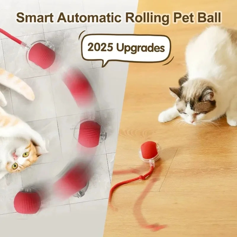 Smart Rolling Tail Toy