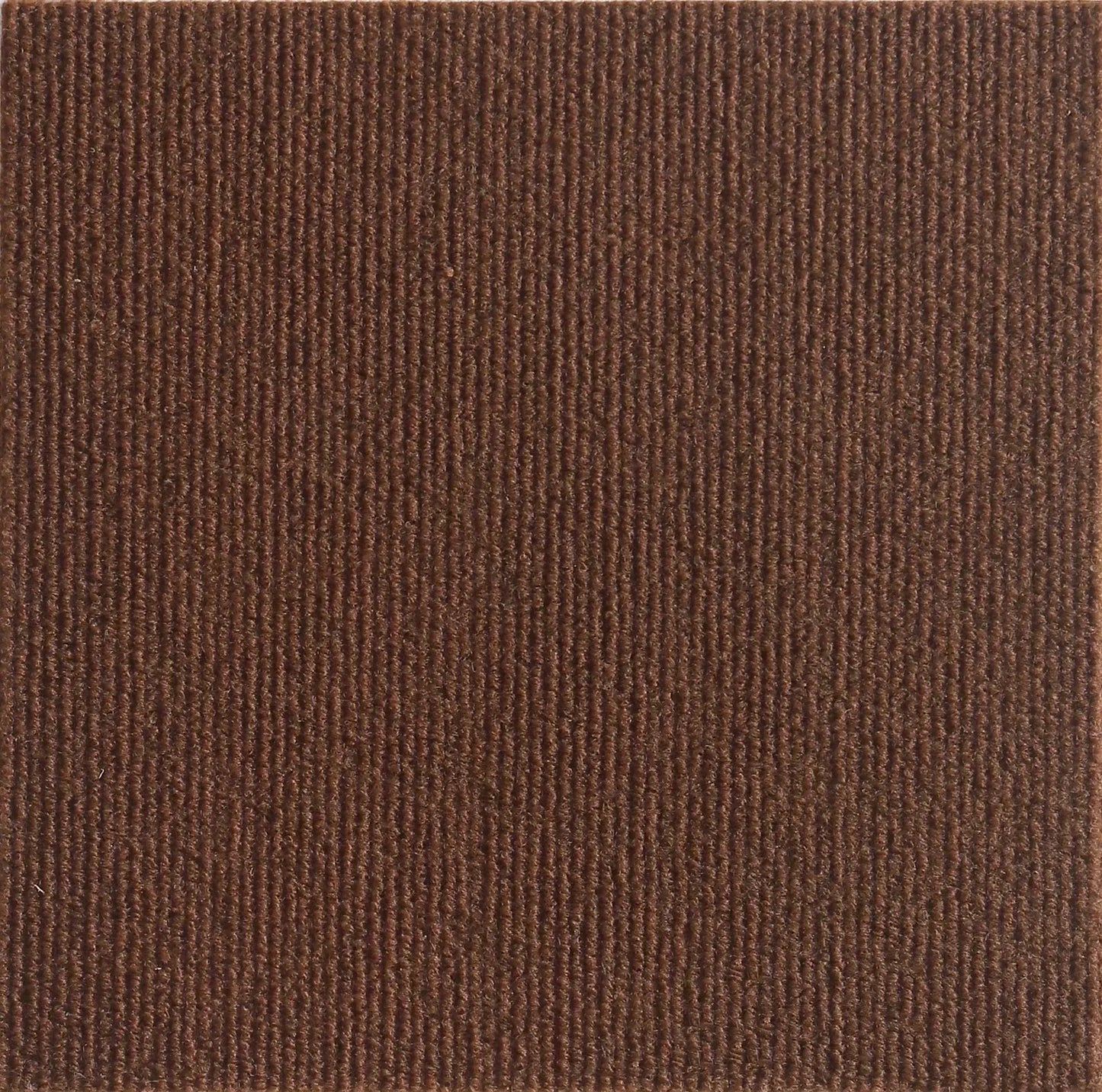 Cat Climb Scratch Mat