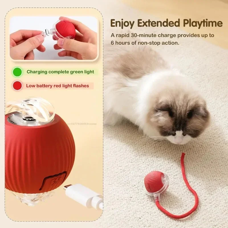 Smart Rolling Tail Toy